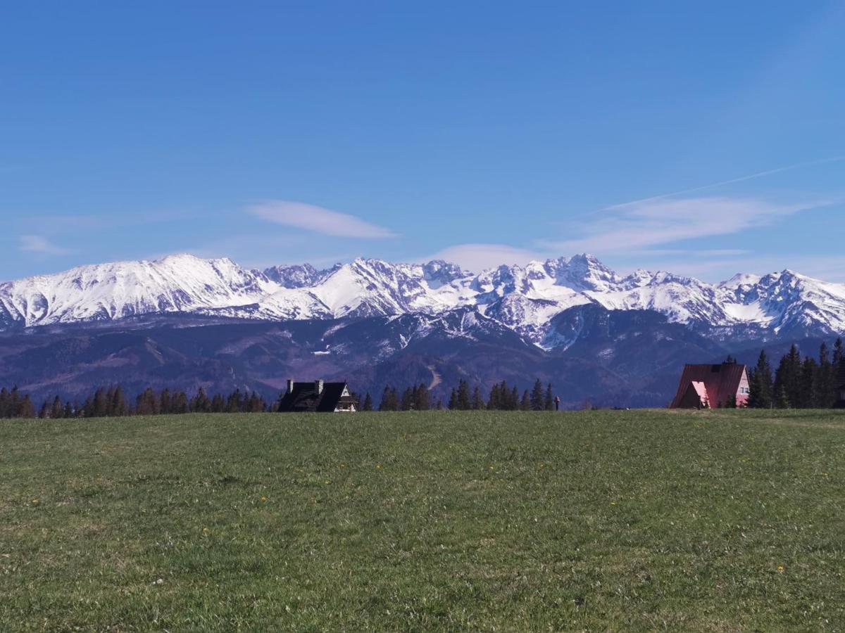Dom Wczasowy Na Szczycie Zakopane Exterior photo