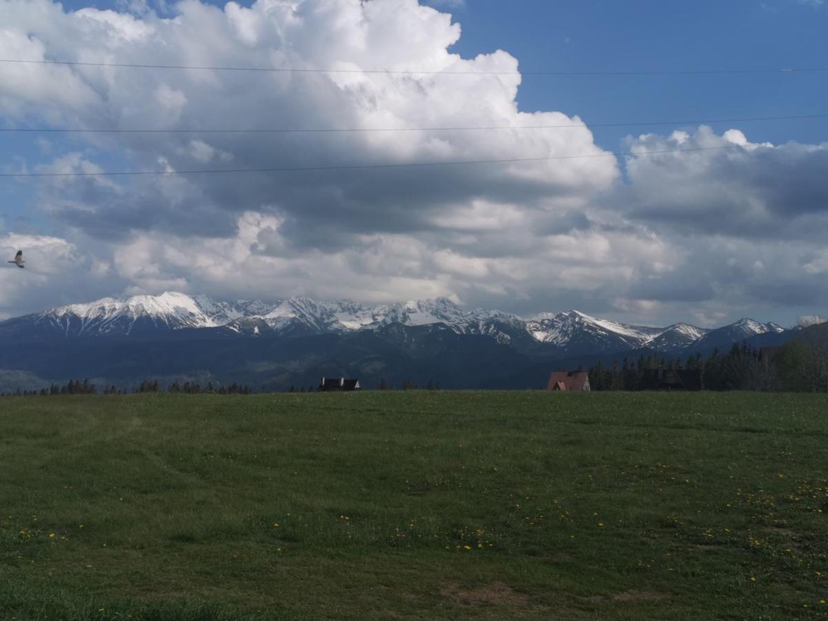 Dom Wczasowy Na Szczycie Zakopane Exterior photo