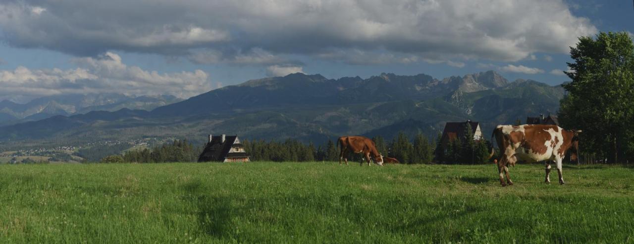 Dom Wczasowy Na Szczycie Zakopane Exterior photo